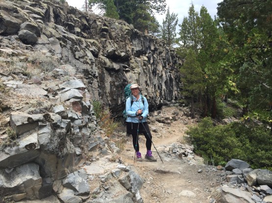 Almost to the crest.