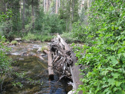 Lot's of water crossings today.