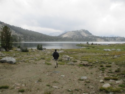Gannon taking a walk down to the lake.