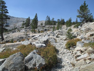 Skree/talus covered trail.