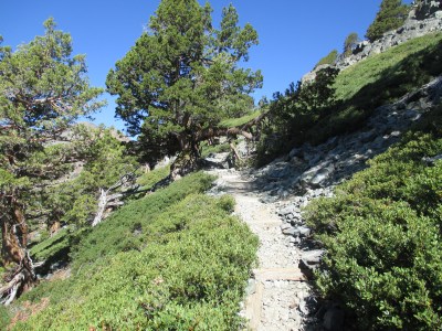 More skree and railroad ties.